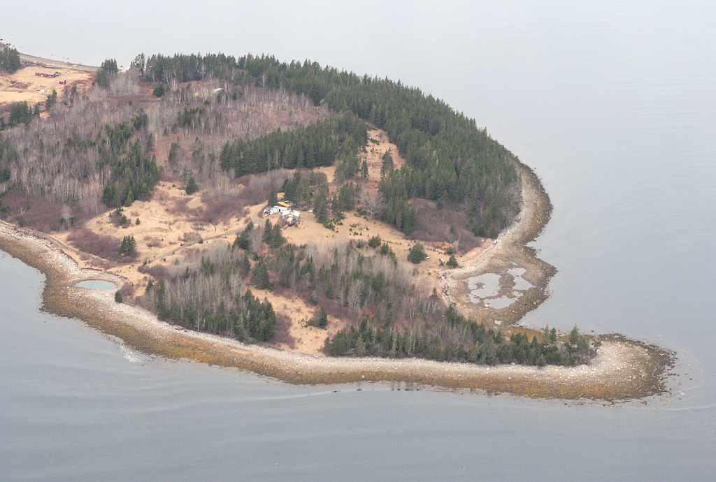 Watch Out, Oak Island Treasure Hunters! - Jane Bow