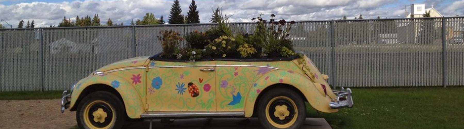 Good Morning Canada, Who Are You? Banner Image