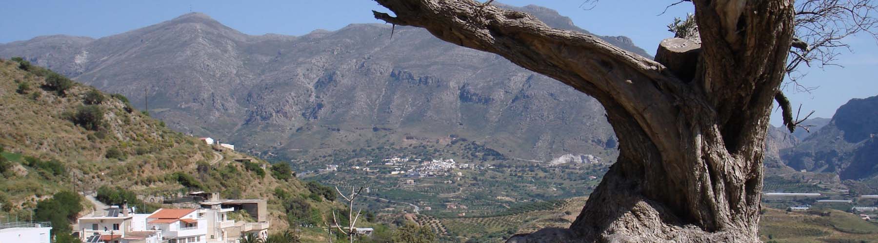 Greek Gifts Banner Image